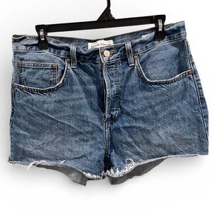 Aritzia Denim Forum 908 Vintage Cut-Off Denim Shorts 31